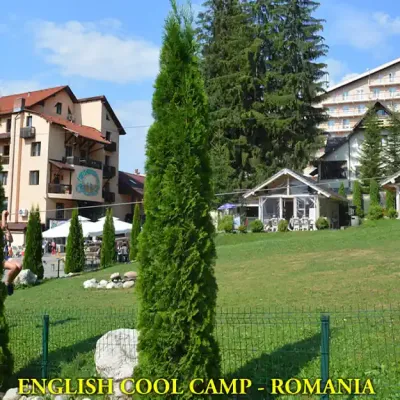 Imagini de la activitățile taberelor English Cool Camp 1